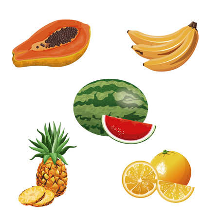 Fruit tropical fresh harvestのイラスト素材
