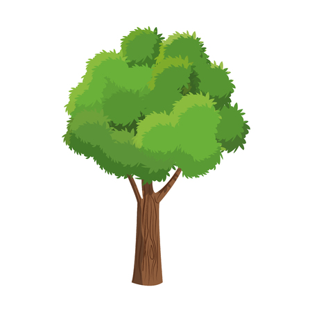 Tree plant natural foliage ecologyのイラスト素材