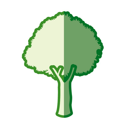 drawing tree natural plant design image vector illustrationのイラスト素材