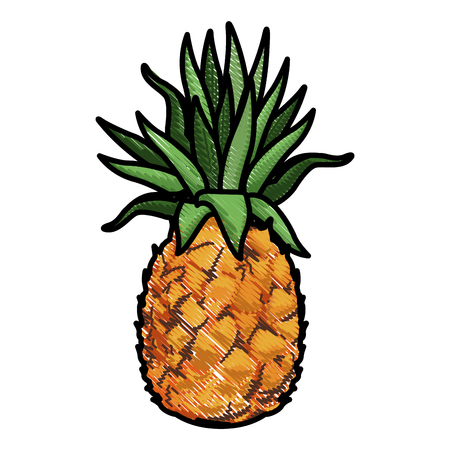 pineapple tropical exotic fruit tasty vector illustrationのイラスト素材