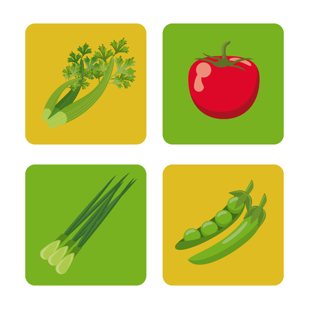set vegetables fresh harvest healthy image vector illustrationのイラスト素材