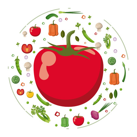 red tomato vegetables fresh tasty diet vector illustrationのイラスト素材