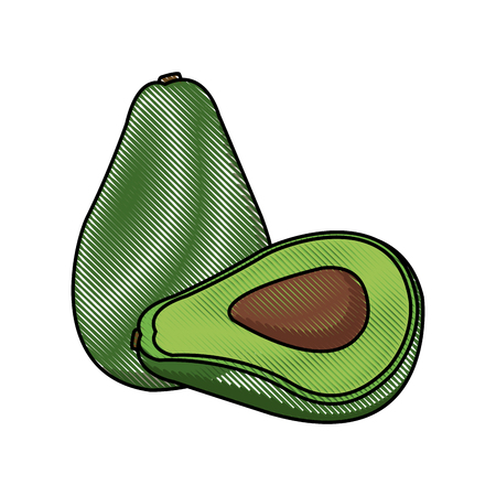 Avocado tasty harvest food fresh image vector illustrationのイラスト素材