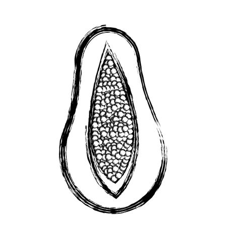 half papaya tropical fruit delicious design skecth vector illustrationのイラスト素材