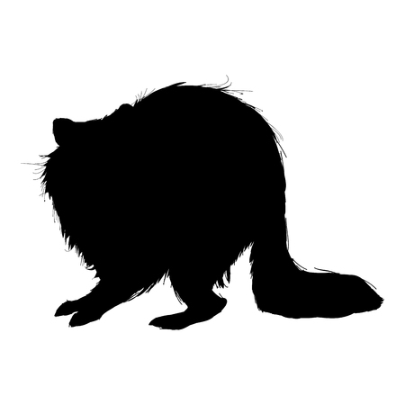 raccoon animal wildlife. pictogram style. vector illustrationのイラスト素材