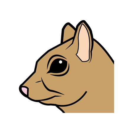 cute squirrel head eats nut nature wildlife image vector illustrationのイラスト素材