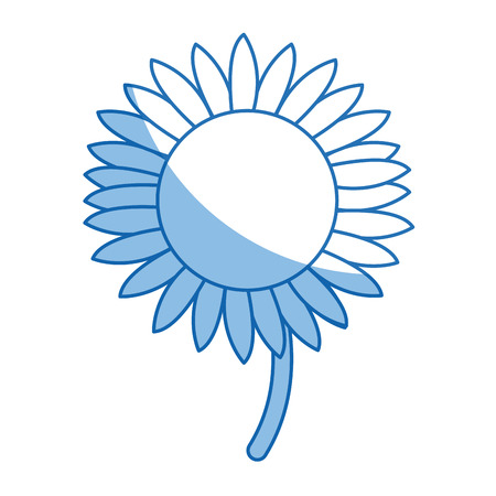 beautiful nature sunflower season botanical vector illustrationのイラスト素材