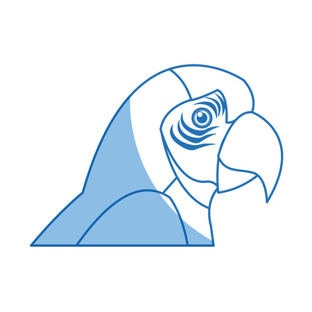 macaw amazon bird brazil wildlife image vector illustrationのイラスト素材
