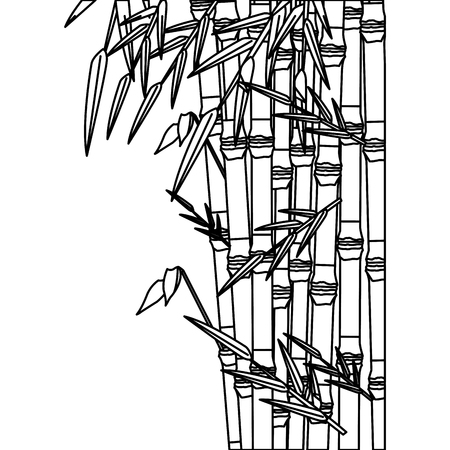 bamboo forest set. spa nature. plant tree with leaves. vector illustrationのイラスト素材