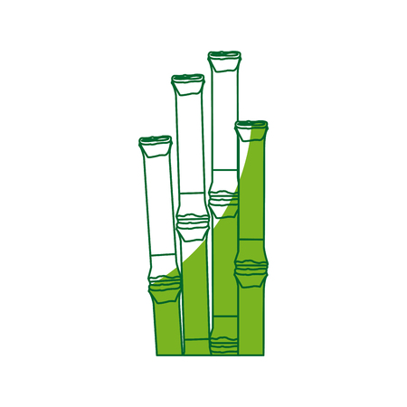 bamboo forest set. spa nature. plant tree with leaves. vector illustrationのイラスト素材