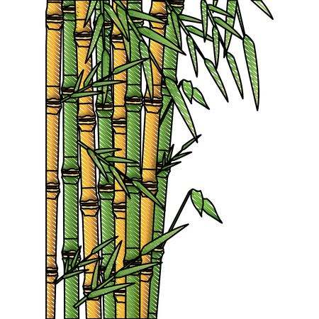 bamboo forest set. spa nature. plant tree with leaves. vector illustrationのイラスト素材