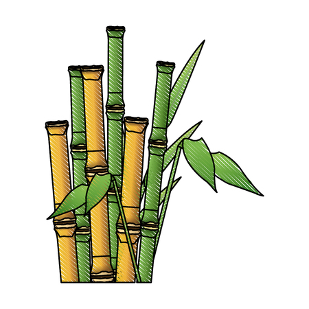 bamboo forest set. spa nature. plant tree with leaves. vector illustrationのイラスト素材