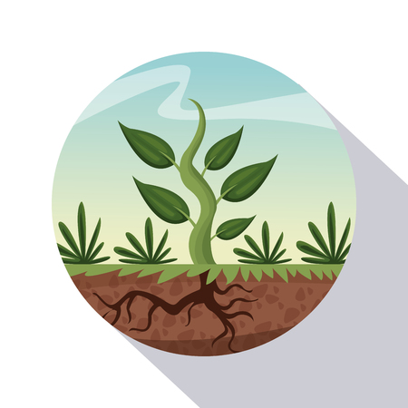 circular frame shading of poster closeup growing plant vector illustrationのイラスト素材