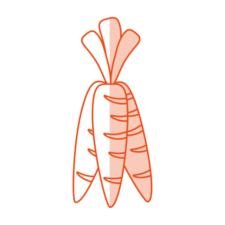 vegetables shadow illustration icon design vector graphicのイラスト素材