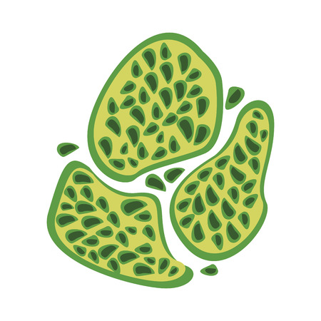 Cell particle structure medical microbe icon vector illustration.のイラスト素材