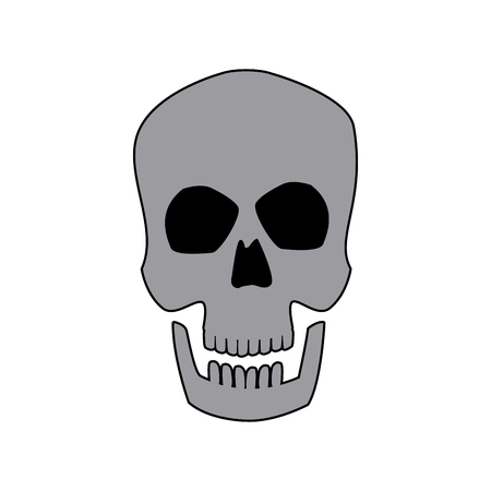 human skull male medical biology science vector illustrationのイラスト素材