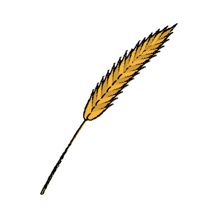 oktoberfest concept with ears of barley vector illustrationのイラスト素材