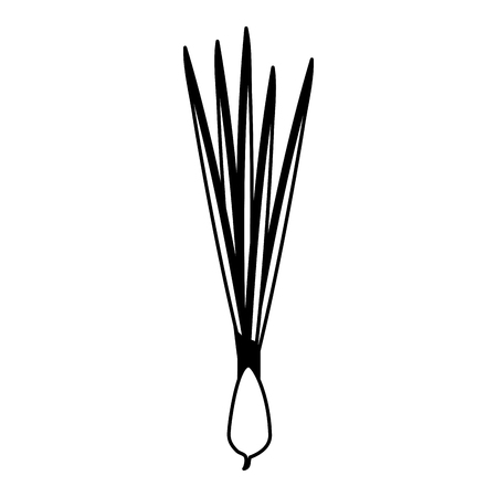 spring onions vegetable icon image vector illustration designのイラスト素材