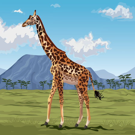 colorful scene african landscape with giraffe standing vector illustrationのイラスト素材