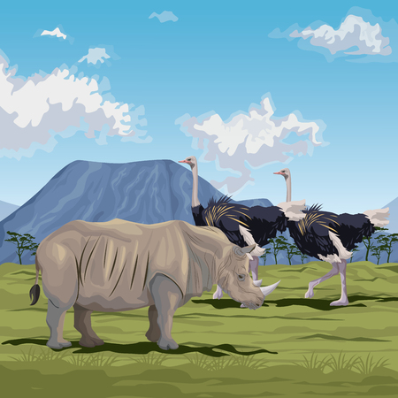 color scene african landscape with rhino and herd of ostrich vector illustrationのイラスト素材