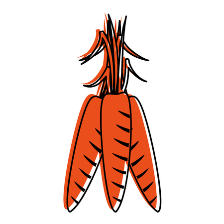 carrot vegetable icon image vector illustration designのイラスト素材
