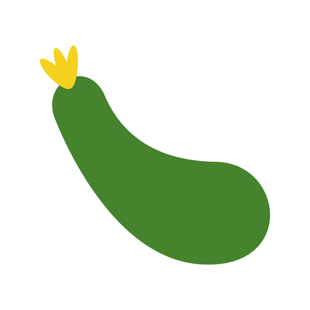 zucchini vegetable icon image vector illustration designのイラスト素材