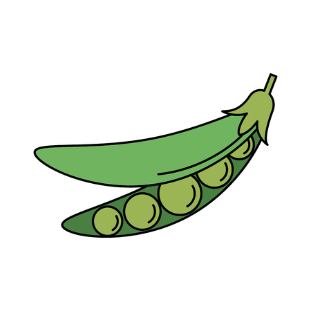 peas in a pod vegetable icon image vector illustration designのイラスト素材