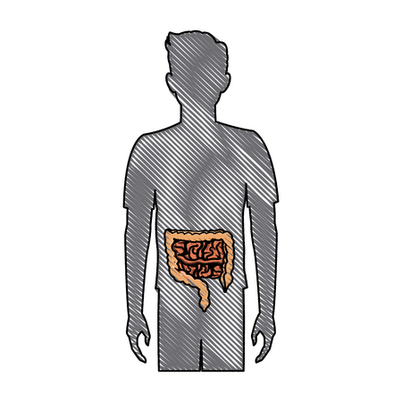 human man body anatomy intestines vector illustrationのイラスト素材