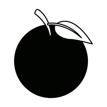 fruit orange fresh nutrition citrus vitamins vector illustrationのイラスト素材