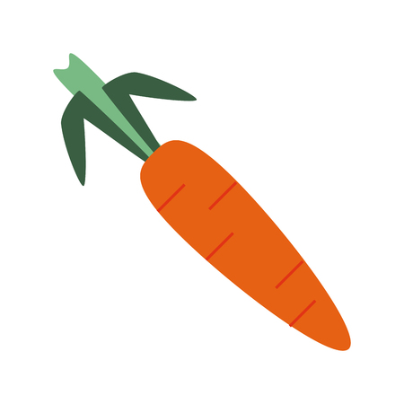 carrot vegetable icon image vector illustration designのイラスト素材