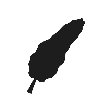 exotic tropical leave botanical flora icon vector illustrationのイラスト素材