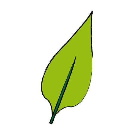 Nature leave foliage botanical image isolated on white background vector illustration.のイラスト素材