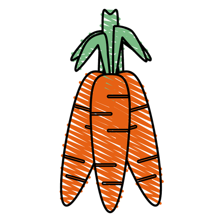 Colorful carrots doodle over white background vector illustrationのイラスト素材