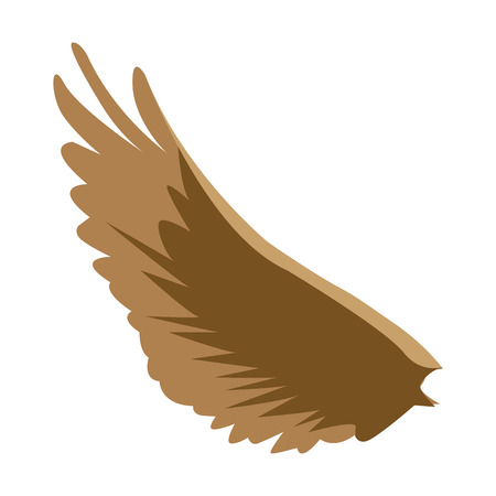 bird wing feathers dove animal vector illustrationのイラスト素材