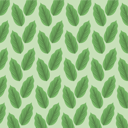 color background pattern green lanceolated leaves vector illustrationのイラスト素材