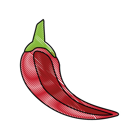 Colorful chili doodle over white background vector illustrationのイラスト素材