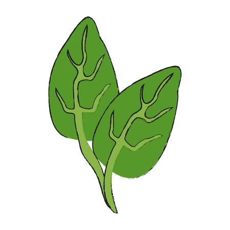 Leaves eco symbol icon vector illustration graphic designのイラスト素材