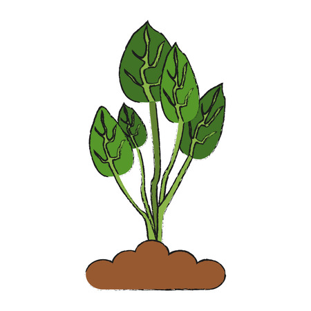 Leaves eco symbol icon vector illustration graphic designのイラスト素材