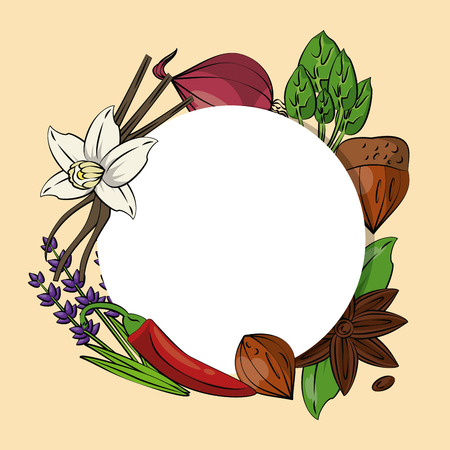 Herbs and spices icons over white background vector illustration graphic designのイラスト素材