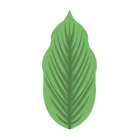Leaf eco symbol icon vector illustration graphic designのイラスト素材