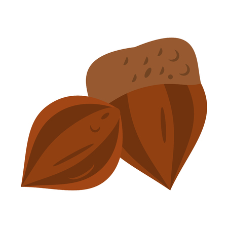 chestnut nut icon image vector illustration designのイラスト素材