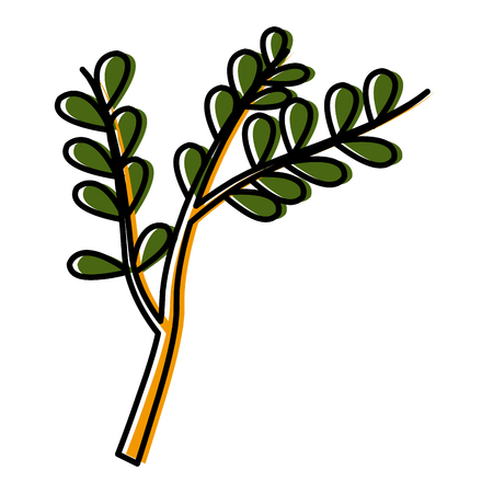 Bouquet of leaves icon vector illustration graphic designのイラスト素材