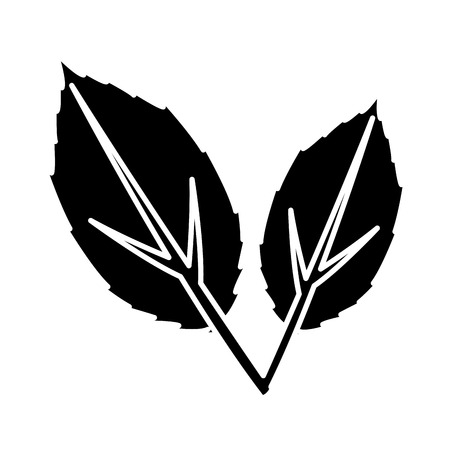 leaves eco symbol icon vector illustration graphic designのイラスト素材