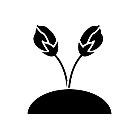 Beautiful planted flowers icon vector illustration graphic designのイラスト素材