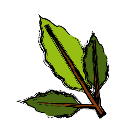 branch coffee leaf icon vector illustration designのイラスト素材