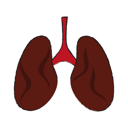 lungs anatomy icon image vector illustration designのイラスト素材