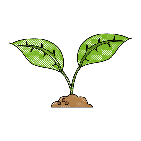 Plant on ground icon vector illustration graphic design.のイラスト素材