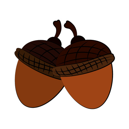 two acorn icon image vector illustration designのイラスト素材