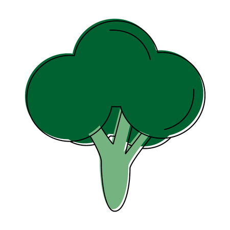 broccoli vegetable icon image vector illustration designのイラスト素材