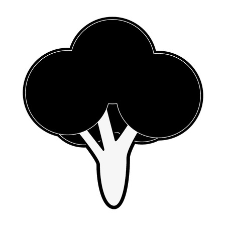 broccoli vegetable icon image vector illustration design  black and whiteのイラスト素材